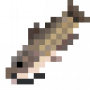 fish_channelcatfish.png