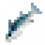 fish_skipjacktuna.png