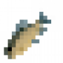 fish_roundcruciancarp.png