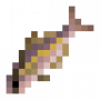 fish_almacojack.png