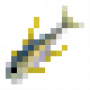 fish_yellowfintuna.png