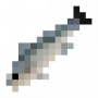 fish_meagre.png