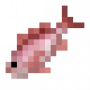fish_redsnapper.png