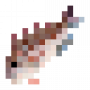 fish_redporgy.png