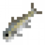 fish_greateramberjack.png