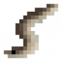 fish_europeanconger.png