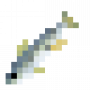 fish_atlanticchubmackerel.png