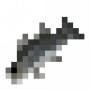 fish_blackseabass.png