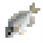 fish_giltheadseabream.png