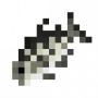 fish_sheepshead.png